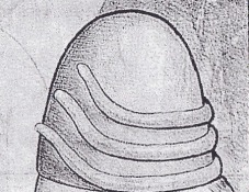 copricapo da Vinci
